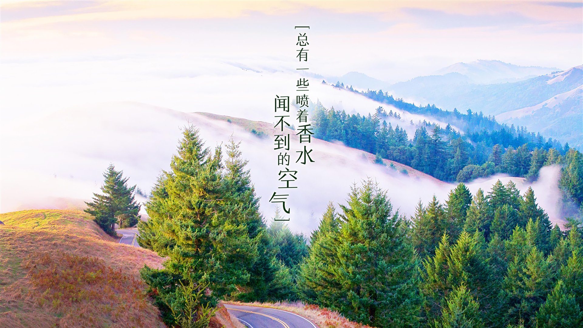 现场气氛：场馆座无虚席，球迷热情高涨！，球场观众席图片