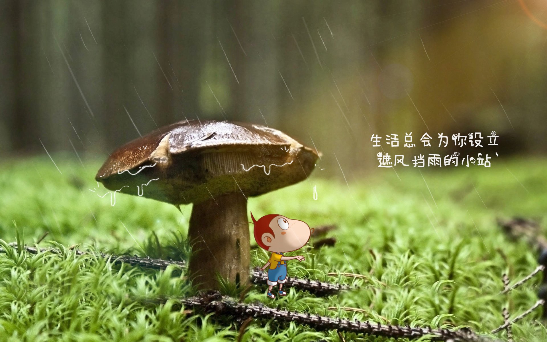 王者荣耀 QGhappy冲刺季后赛 节奏调整奏效，王者荣耀赛季冲刺持续多久