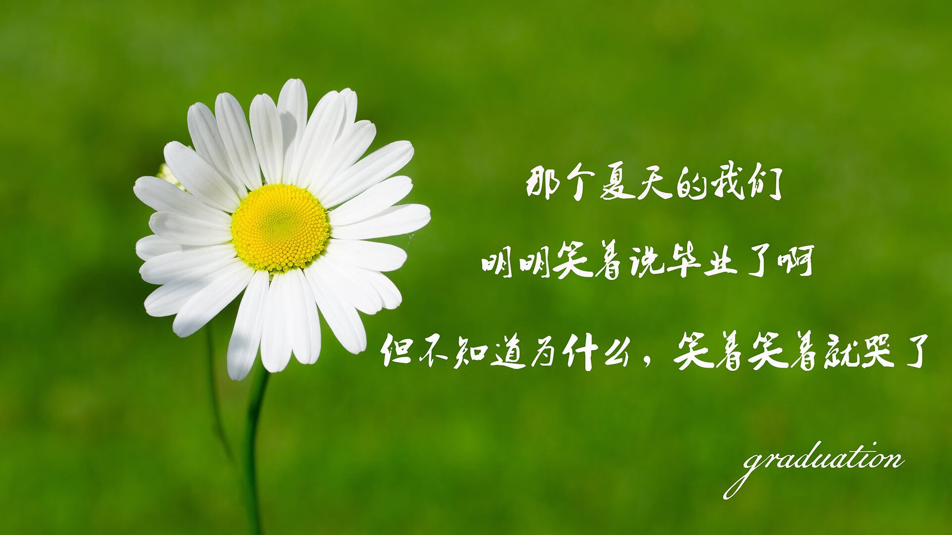 背后玄机：豪门转会费背后的战术思考，2021豪门转会