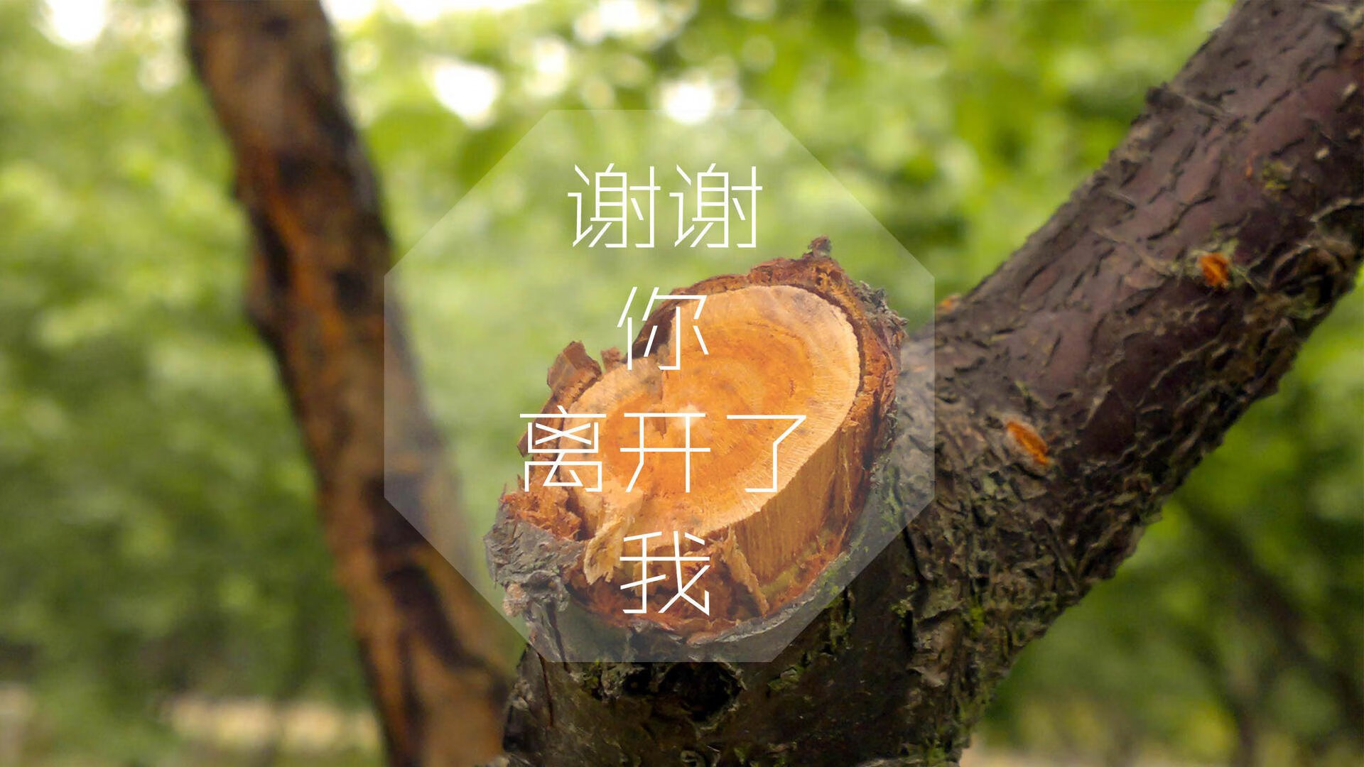 足球教学插画内容在教辅平台上线，足球教科书各技术教学挂图