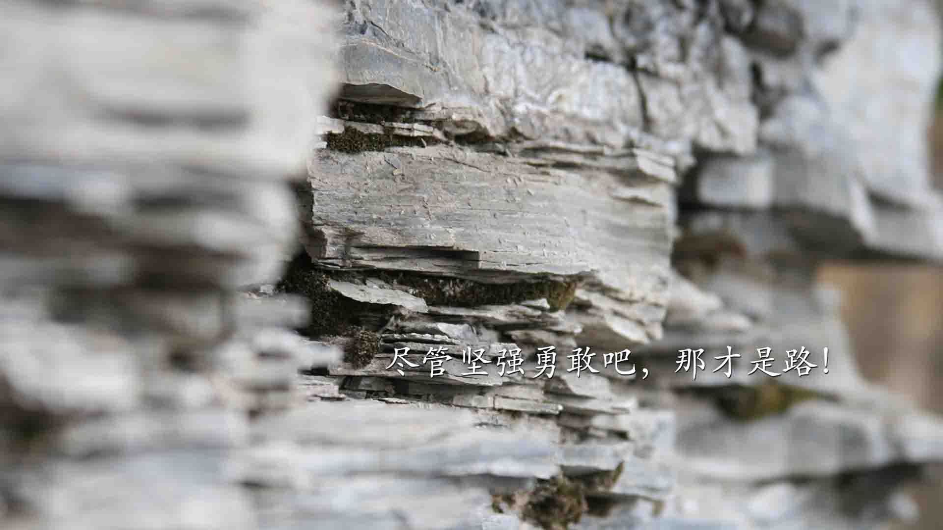 青少年篮球“星光之旅”全国巡演不断扩大影响力，ybdl青少年篮球发展联盟