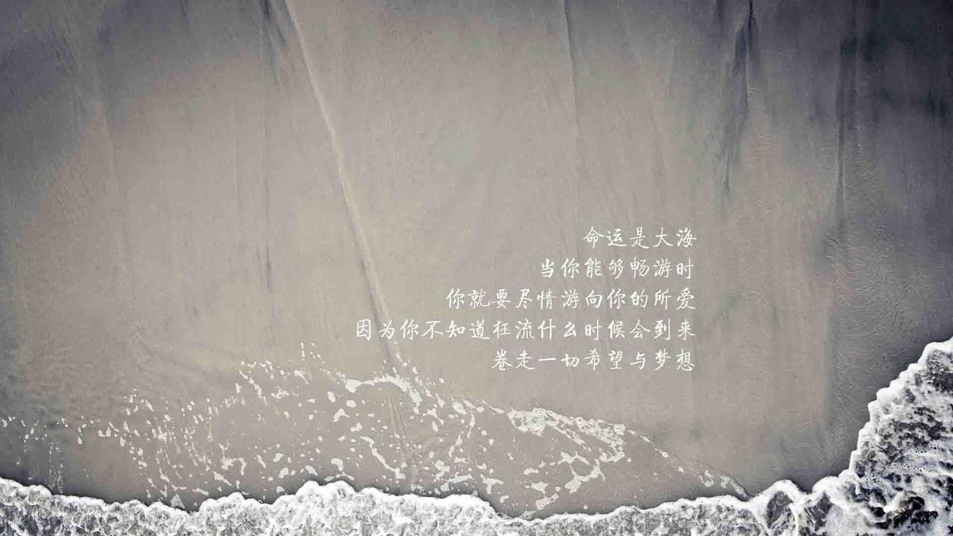 独立队球员转会动态，独立怂队
