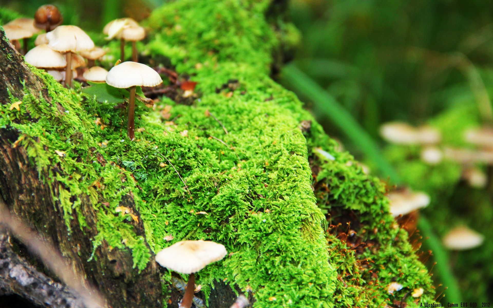 博卡控球时压上不够,缺乏侵略性