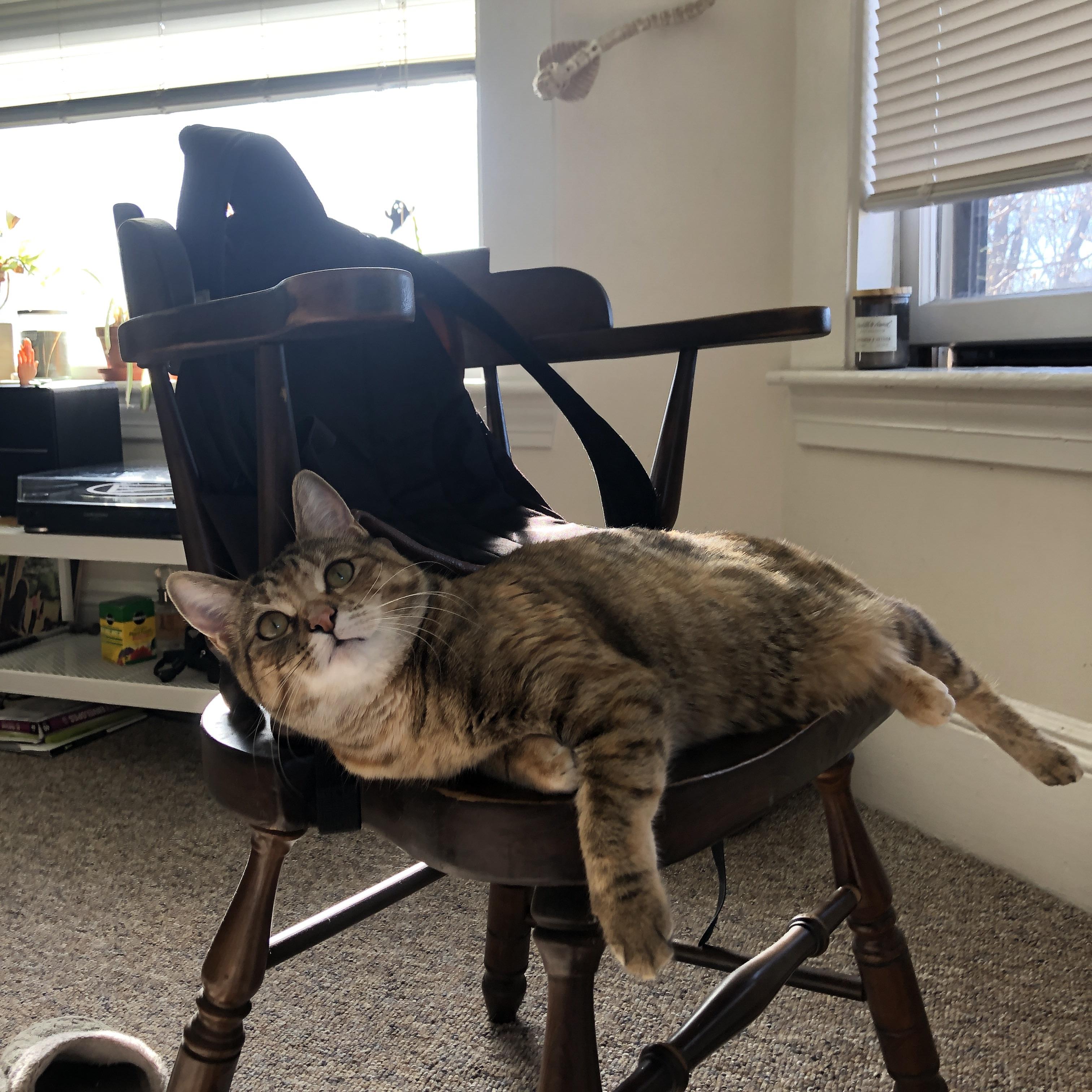 九游sports-换人节奏科学的教练用兵之道