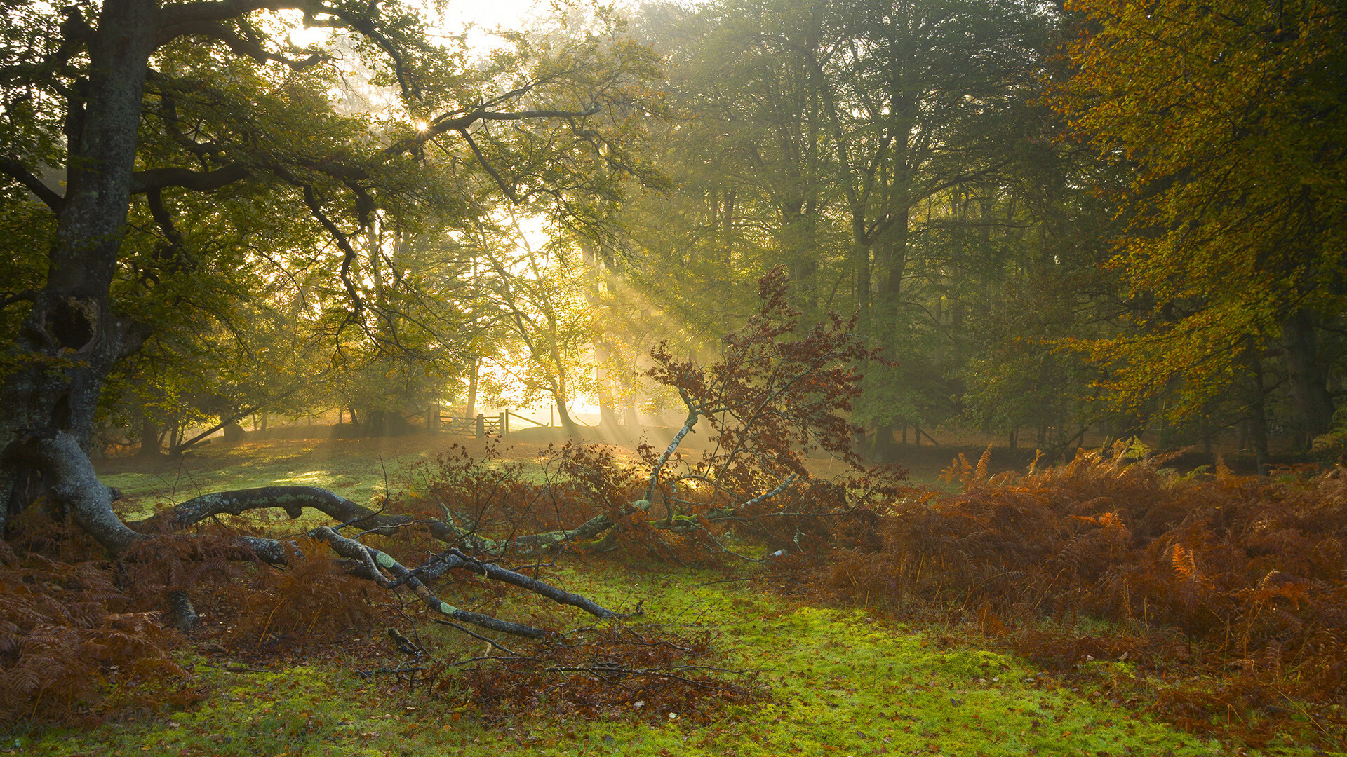 数据能否揭示五大联赛球队进攻流畅度背后的机制,五大联赛球队进球数排行榜