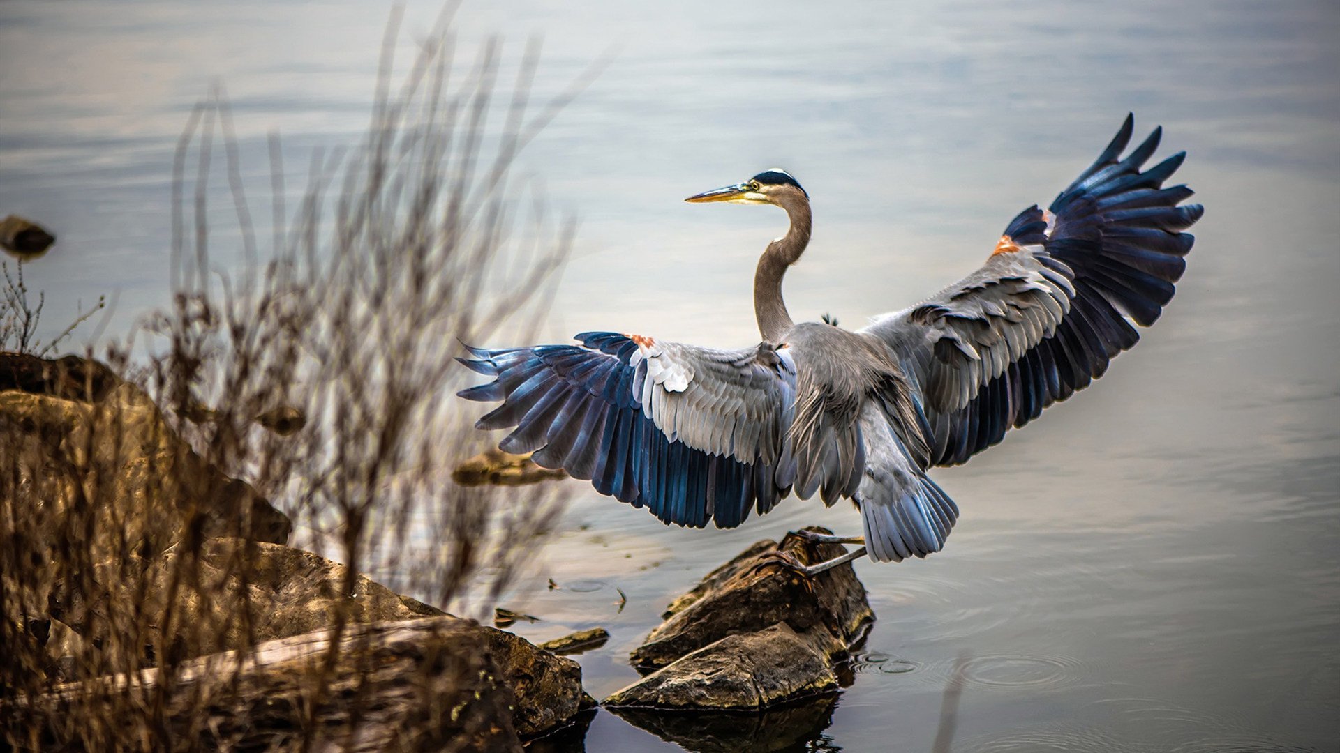 朱芳雨打造广东新核心青训体系成亮点,朱芳雨怎么成了广东队总经理