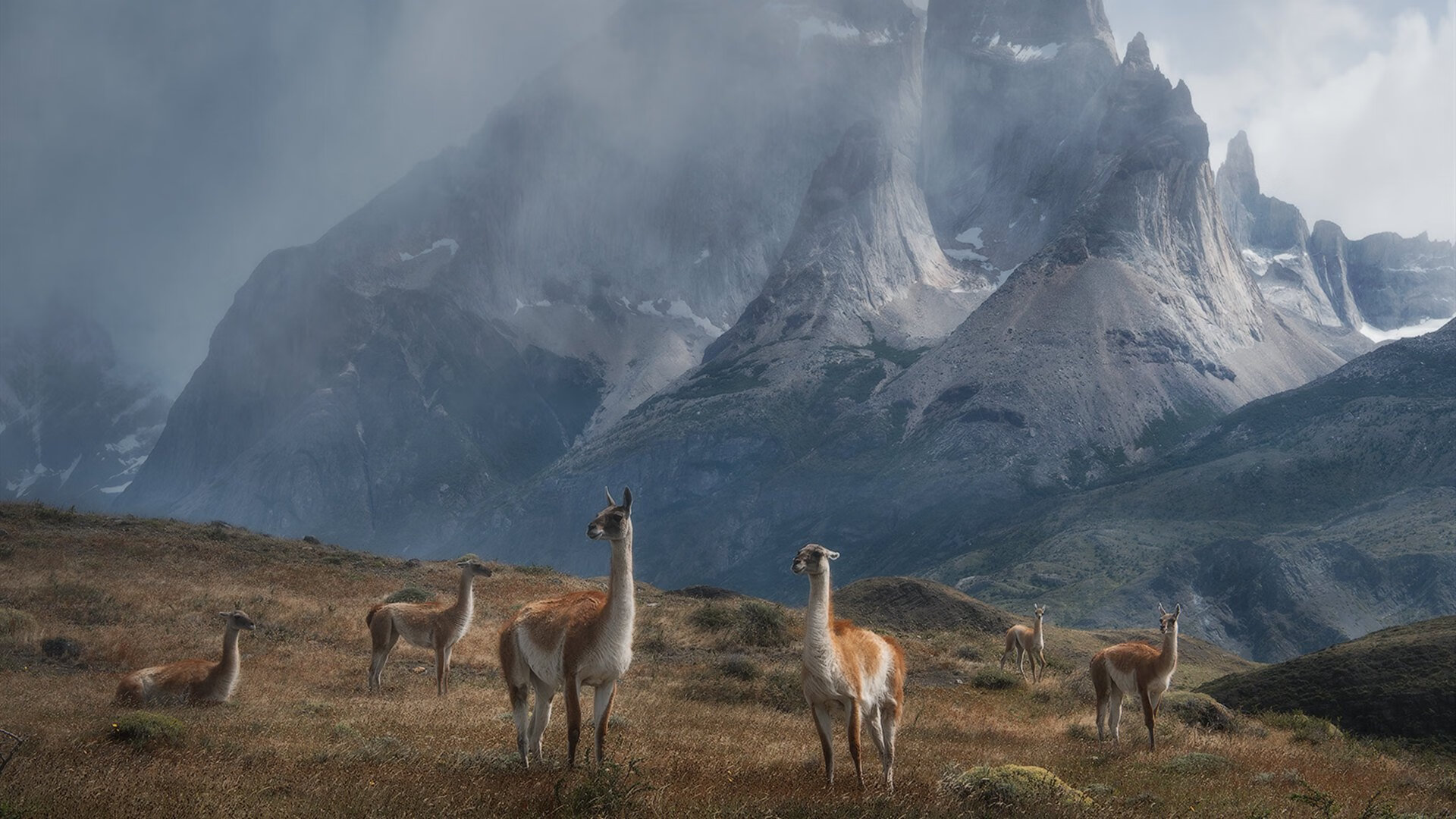 羽毛球女子双打组合持续冲击世界前列,羽毛球女子双打组合持续冲击世界前列