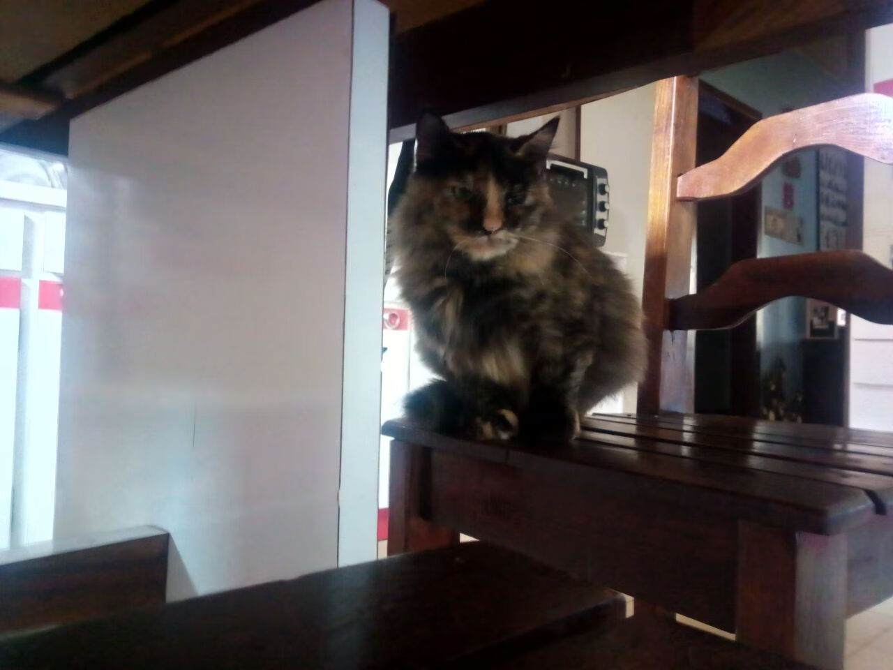 辽宁飞豹延续胜利势头向冠军再度发起冲击,辽宁飞豹吧 百度贴吧