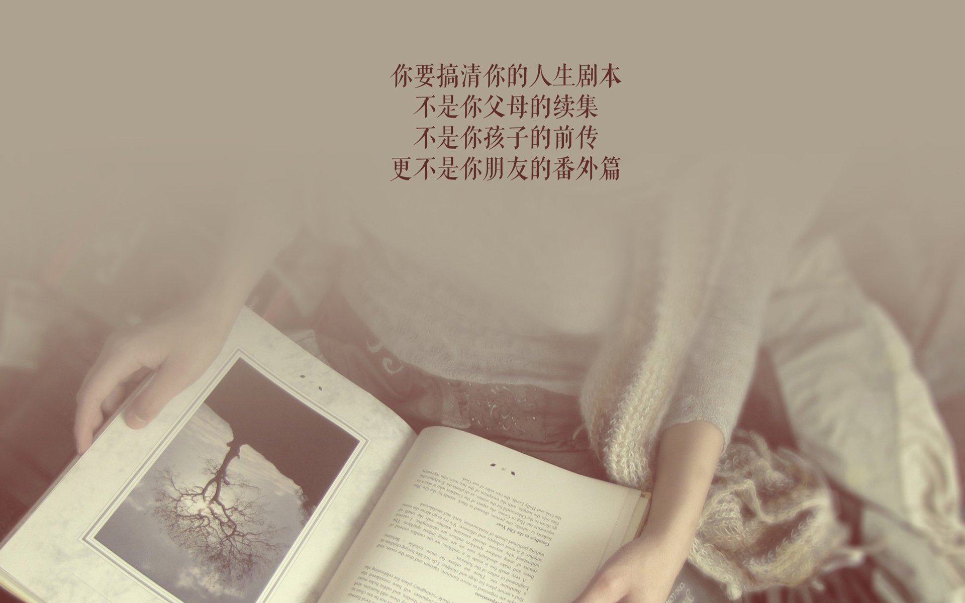 德甲快节奏：攻防轮换中的绝佳配合，德甲冲刺速度最快球员