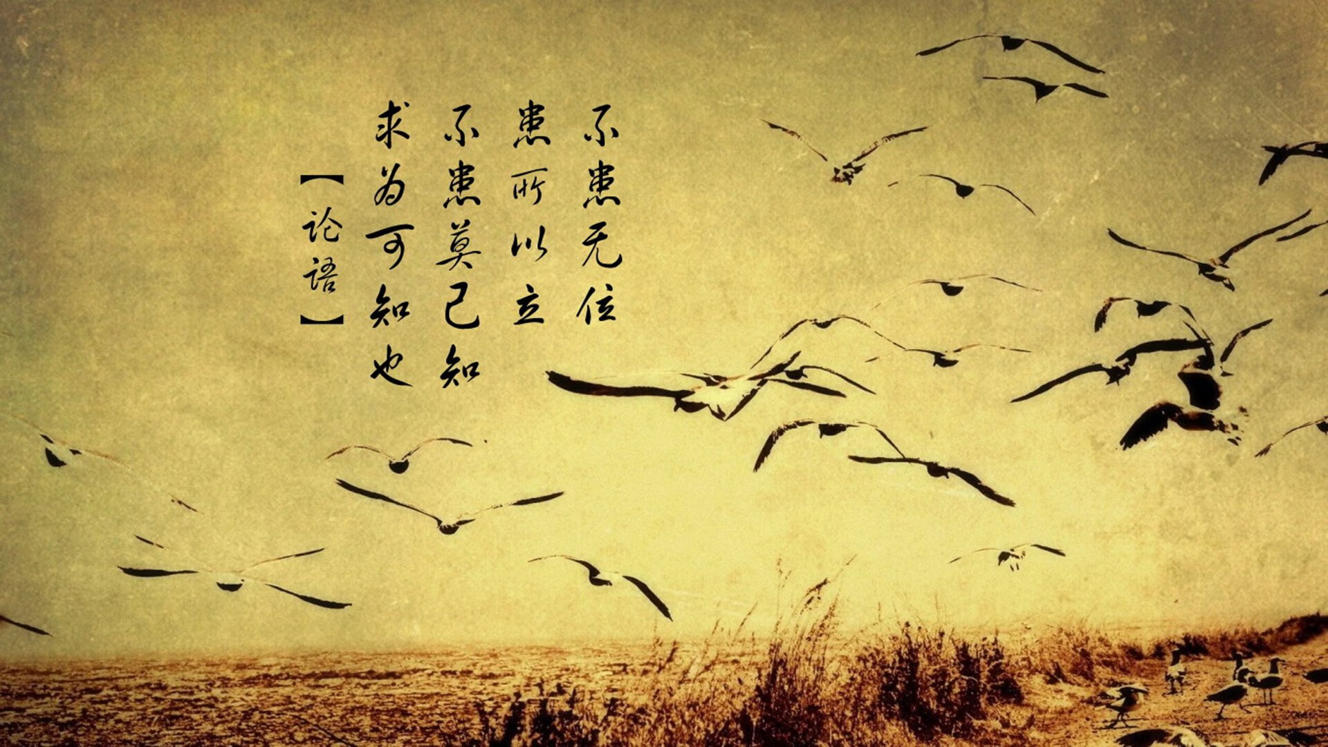 九游9游-青训中心开展球员家长课堂促进家庭支持力建设，球队家长 发言