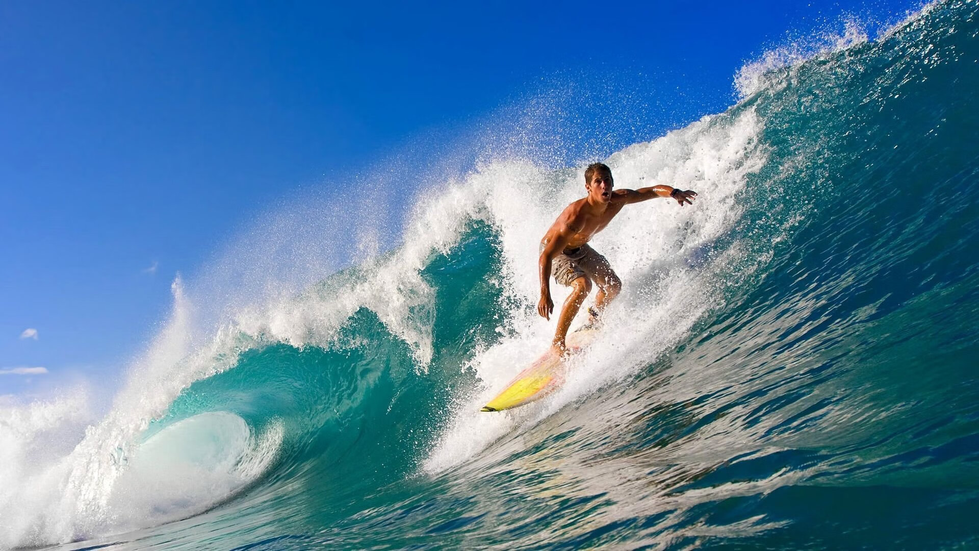 9游游戏官网-NBA将举办首届“全球球迷日”，多地城市响应，nba球队球迷数量排行2020